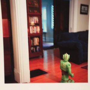 Fine Art Photography Print, “The Great Garloo”, 11X8.5